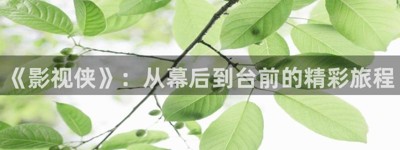 青柠影院热门电视剧有哪些：《影视侠》：从幕后到台前的精彩旅程