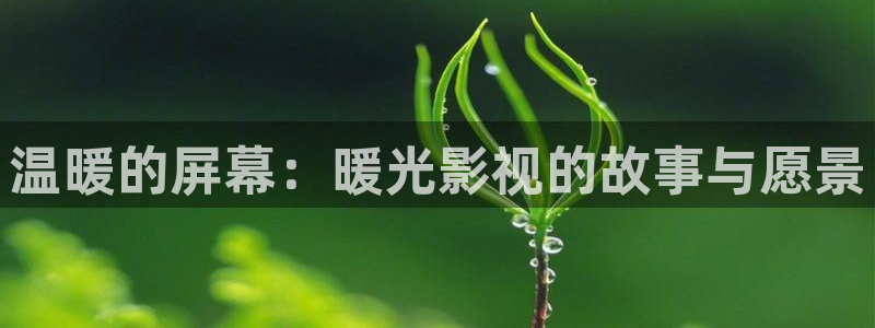 青柠影院免费高清电视剧：温暖的屏幕：暖光影视的故事与愿景