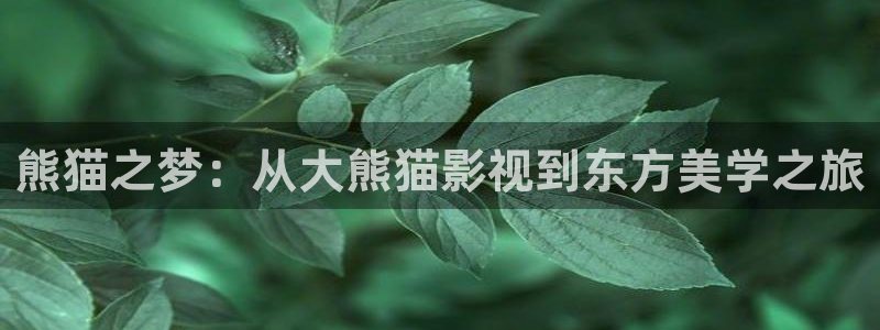 青柠影院手机在线：熊猫之梦：从大熊猫影视到东方美学之旅