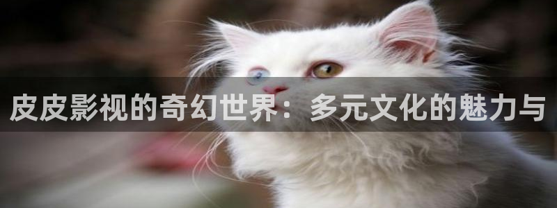 青柠视频在线：皮皮影视的奇幻世界：多元文化的魅力与