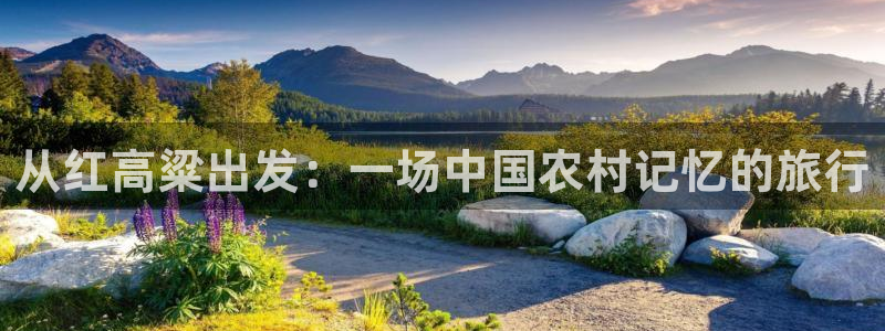青柠影院免费在线：从红高粱出发：一场中国农村记忆的旅行