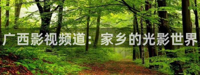 青柠檬影院免费观看电视剧：广西影视频道：家乡的光影世界